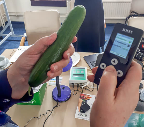 Cucumber and nitrates